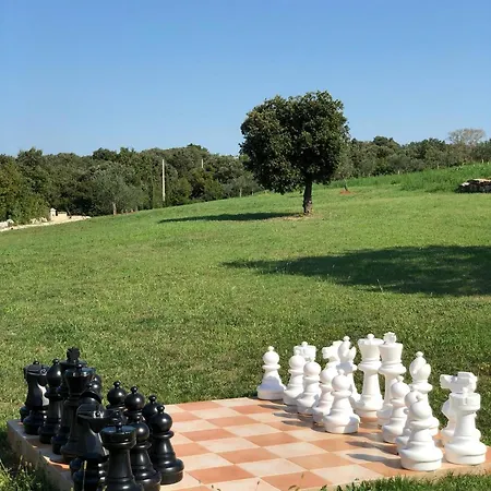 Mongarsel